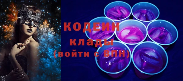 соль ск Снежногорск
