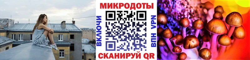 Галлюциногенные грибы мицелий Киренск